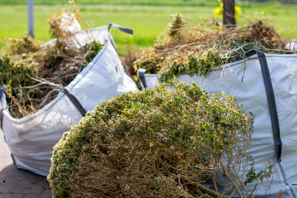 Best Moving and Downsizing Cleanouts  in Moulton, AL